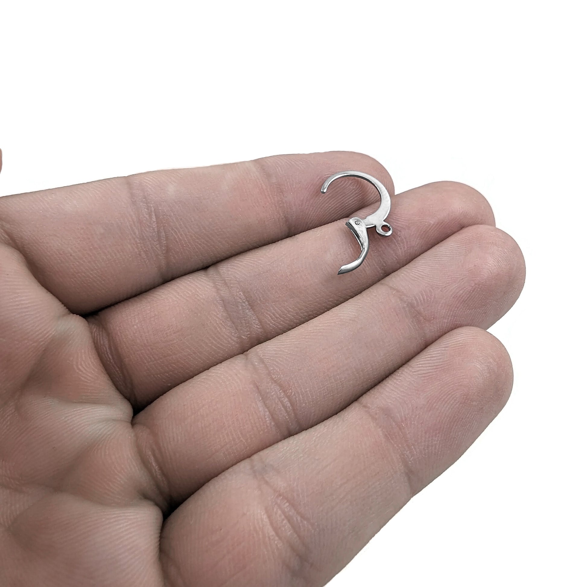10pcs (5 pairs) Stainless Round Lever Back Hoop earring hooks, Hypoallergenic