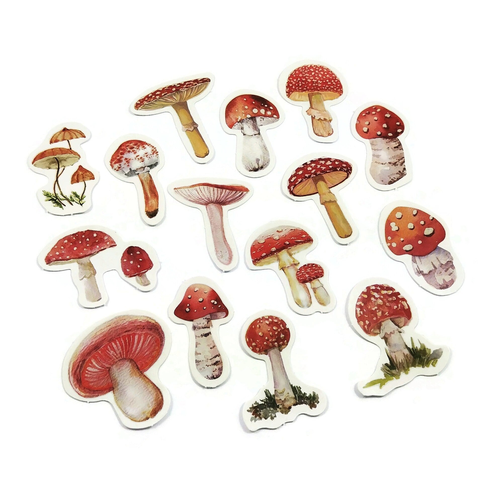 AUTOCOLLANT MAT : Autocollant esthétique de plancher de forêt de champignon  rouge, autocollant de champignon rouge, autocollant de champignon de forêt  rouge, autocollants de champignon -  Canada