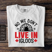 No we don't live in igloos