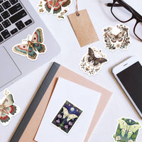 50 butterfly vinyl sticker pack