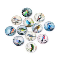 50 mixed bird, 12mm glass cabochons