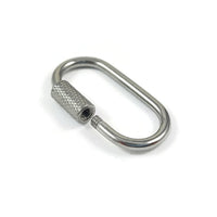 Stainless steel carabiner, Cute little clasp, Charm or connector necklace making, Bottle clip & key fob findings