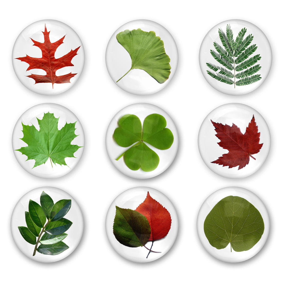 Cabochon Collage Sheet - Leaves - Printable round image in 7 sizes
