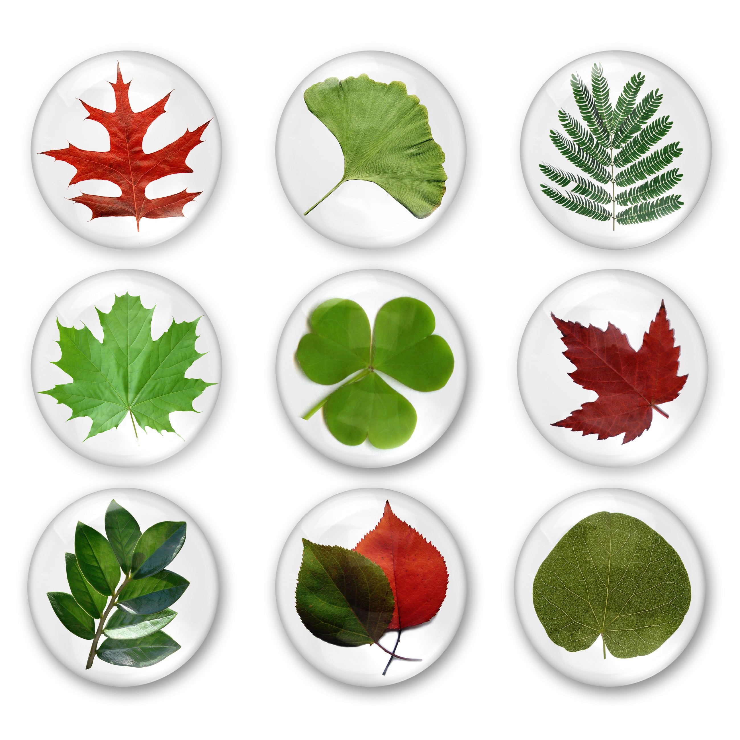 Cabochon Collage Sheet - Leaves - Printable round image in 7 sizes