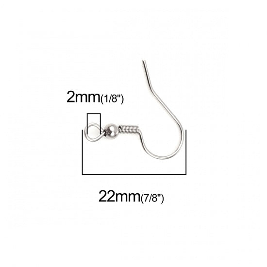 Surgical Steel Earring Hooks - 100 pcs.