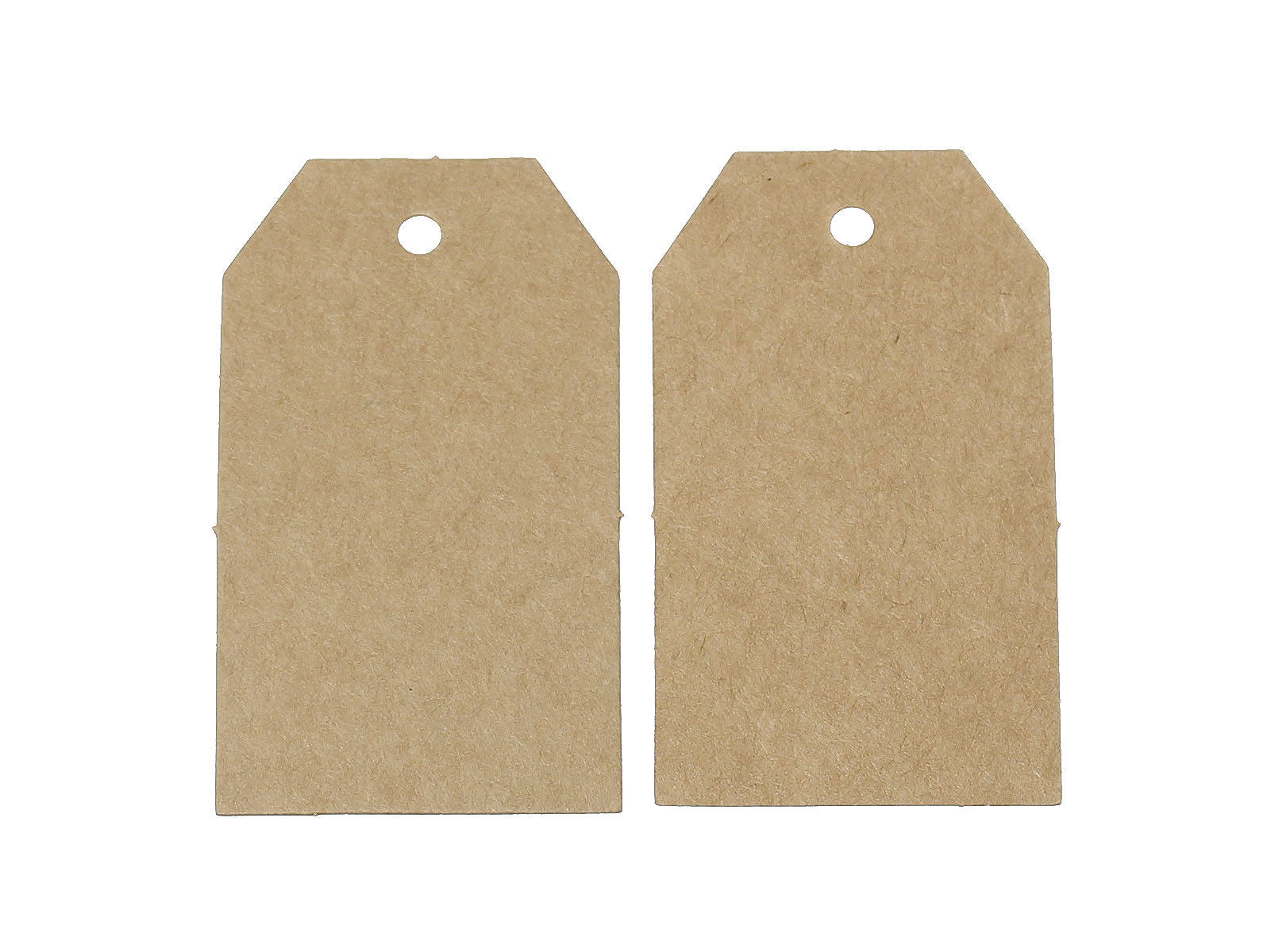 Polygon rectangle gift tags - blank kraft paper tags - Set of 10 or 50