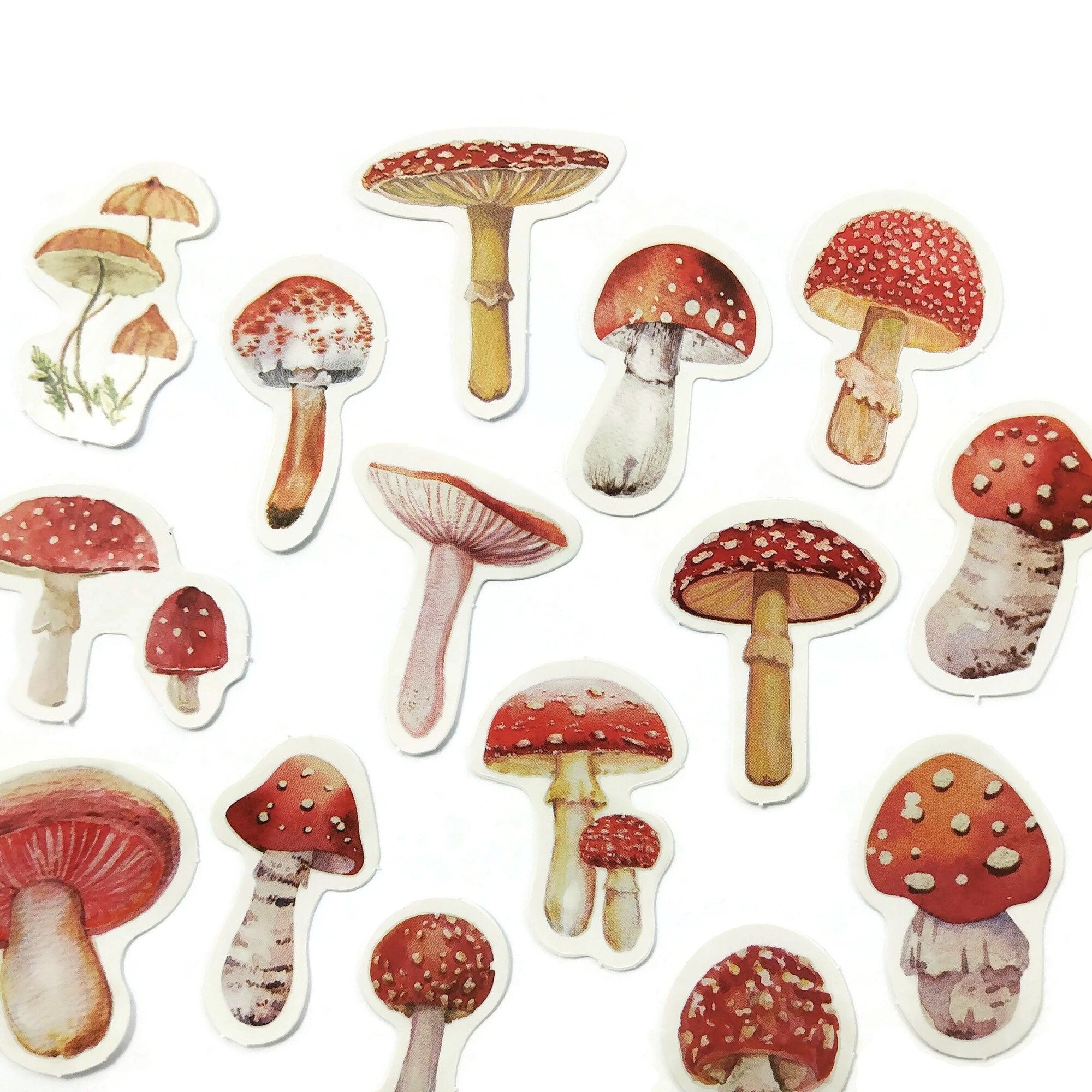 Sticker champignon japonais - TenStickers