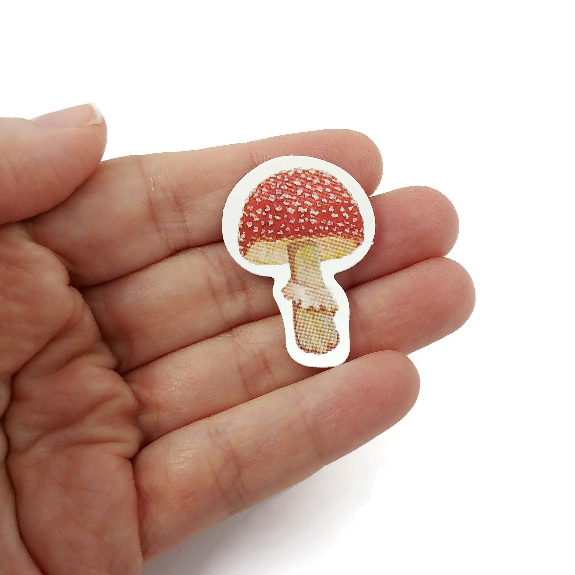 Sticker champignons marron - Sticker A moi Etiquette & Autocollant