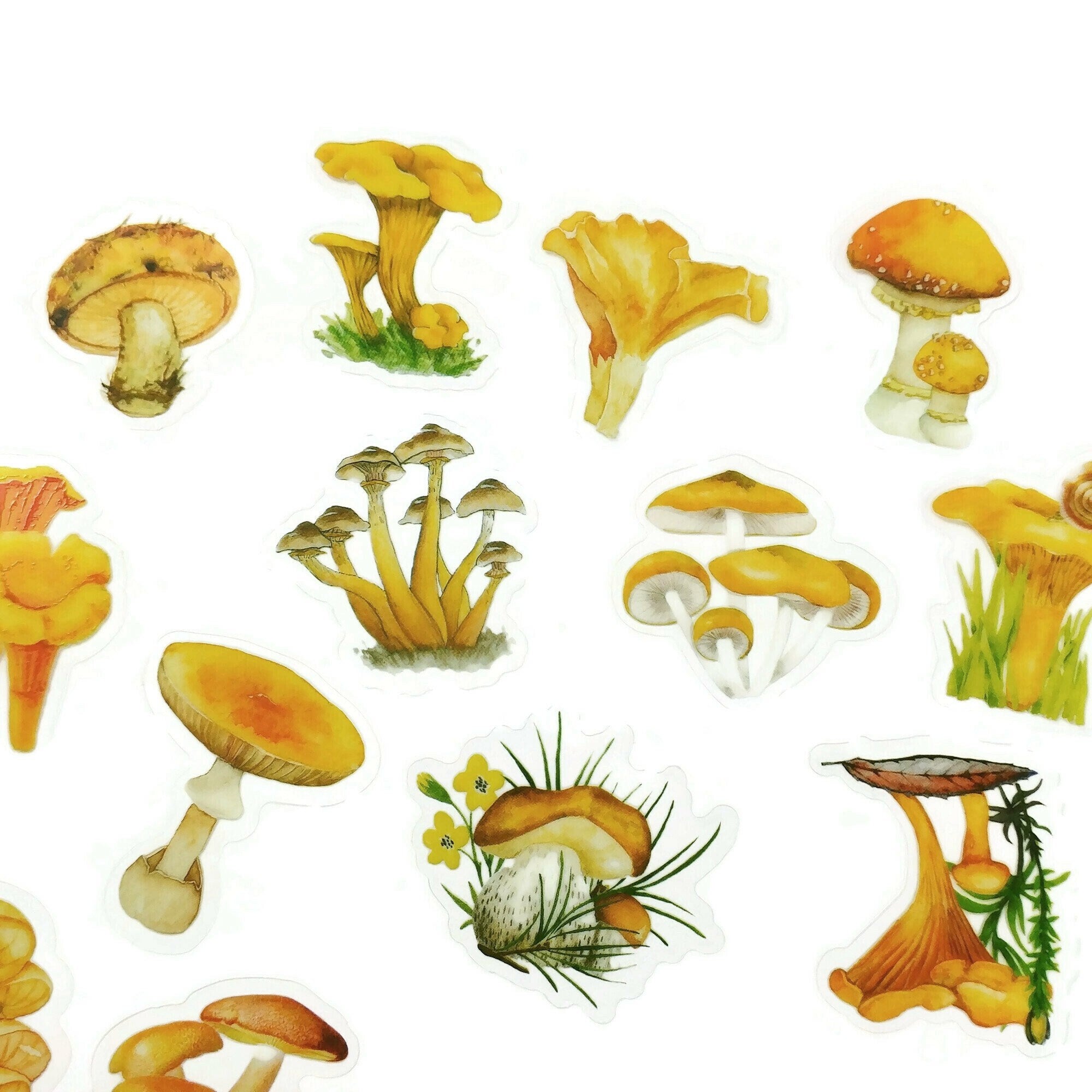 Yellow mushroom sticker pack - 15 cute botanical stickers - Cottagecore journal planner