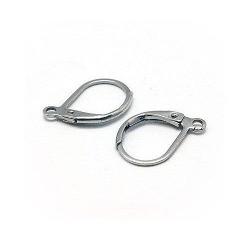 Stainless steel lever back earring hooks